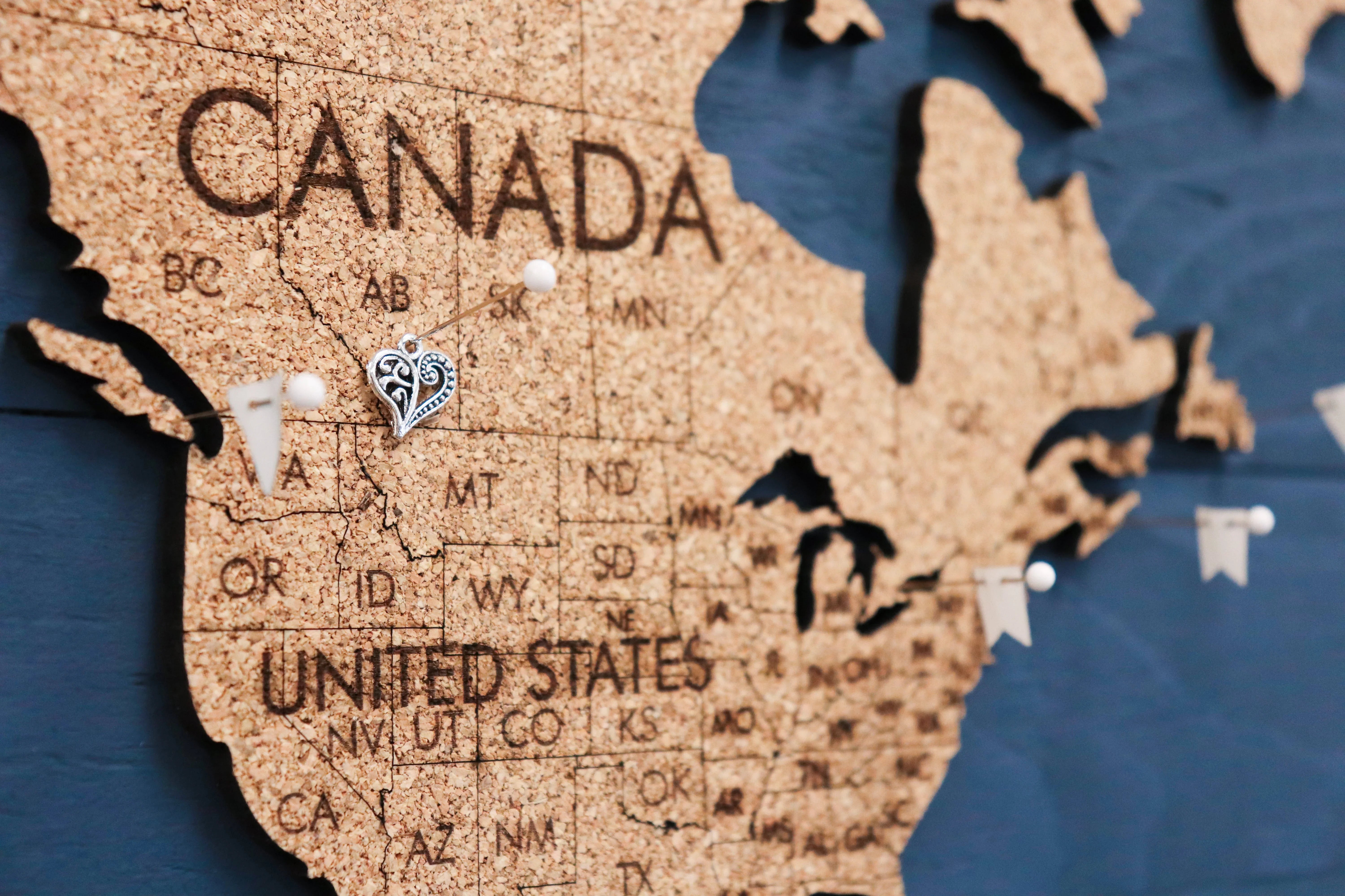 Wanderlust Maps Cork & Wood 3D World Pin Map | 44 x 24 | Labelled