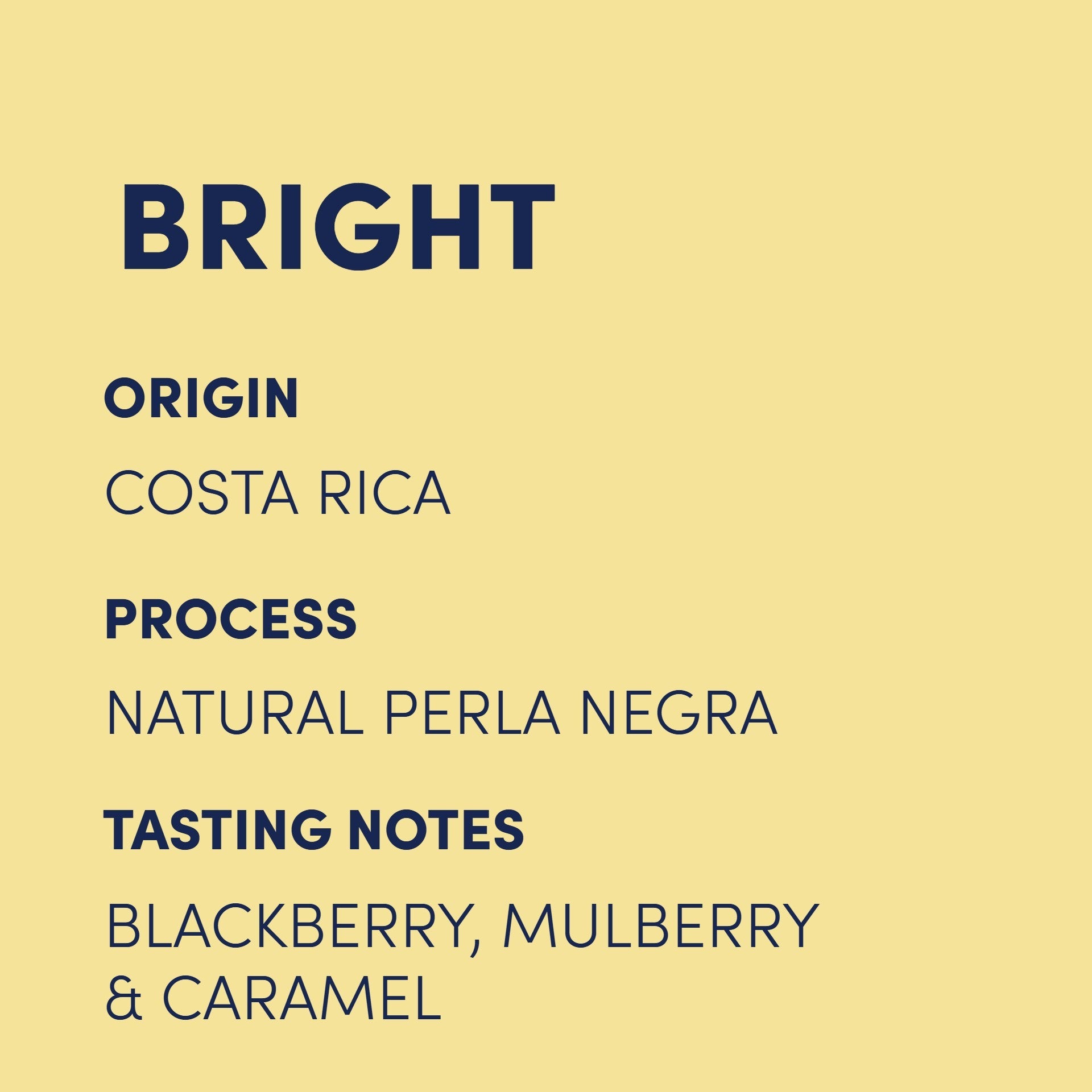 Eclipse Coffee Roasters Las Lajas Finca Mirella