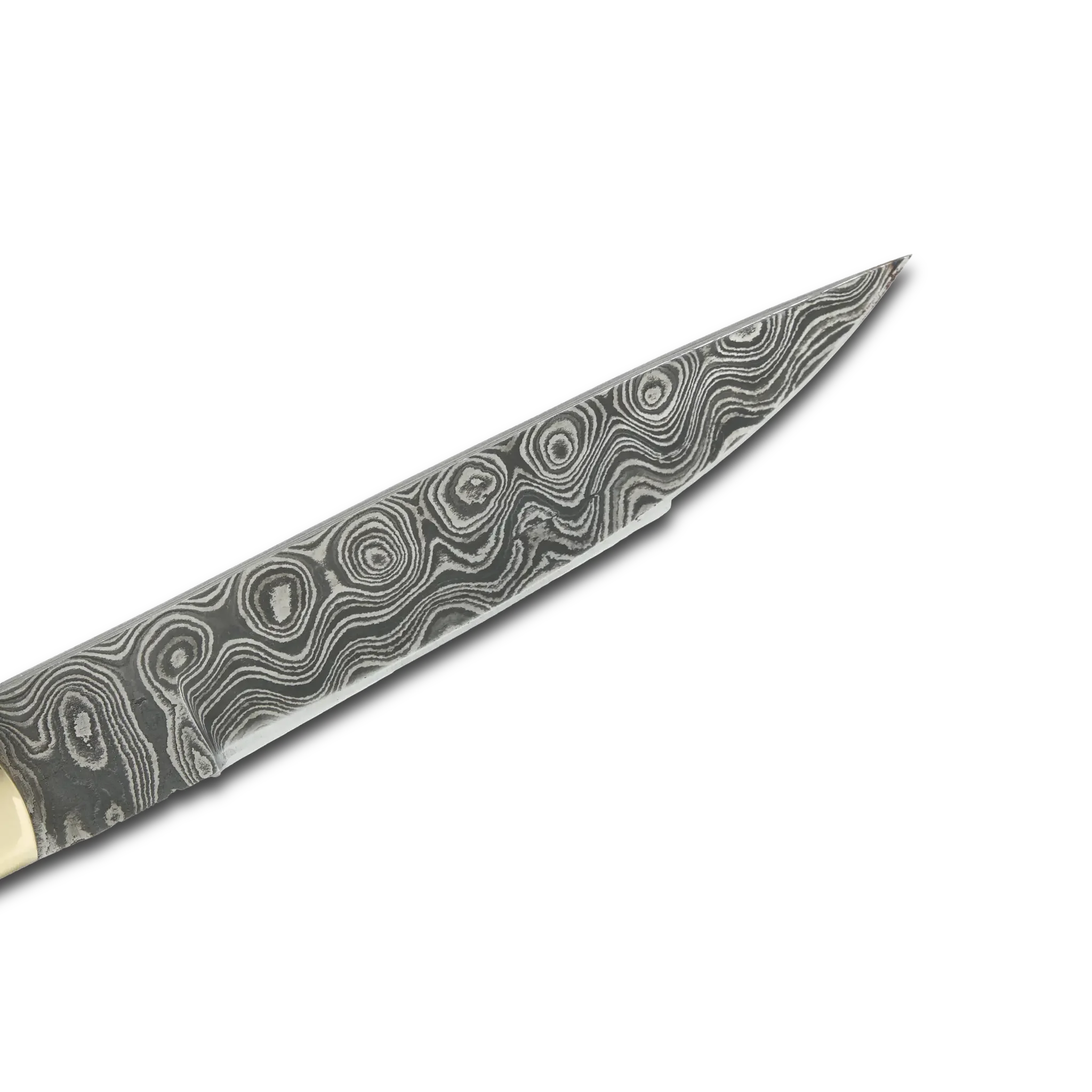 Ginza Steel AKARI Skinner Knife 3.5 inch with Stag Horn Handle and Original Leather Sheath