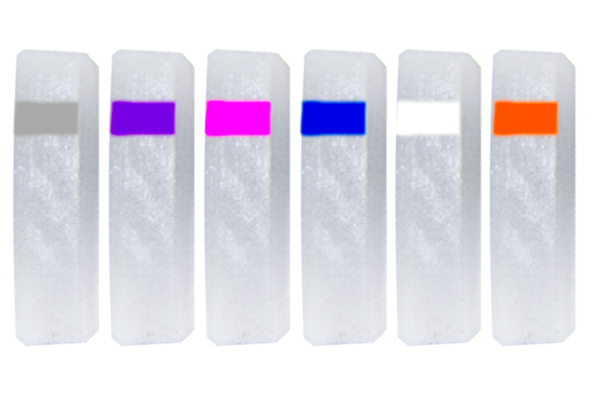 Specialty Archery PXS Target Peep Verifier Lenses
