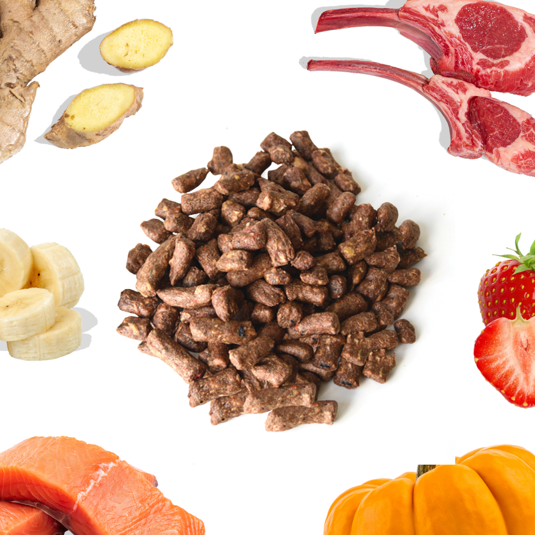 Healthybud Lamb+Salmon Meal Bites