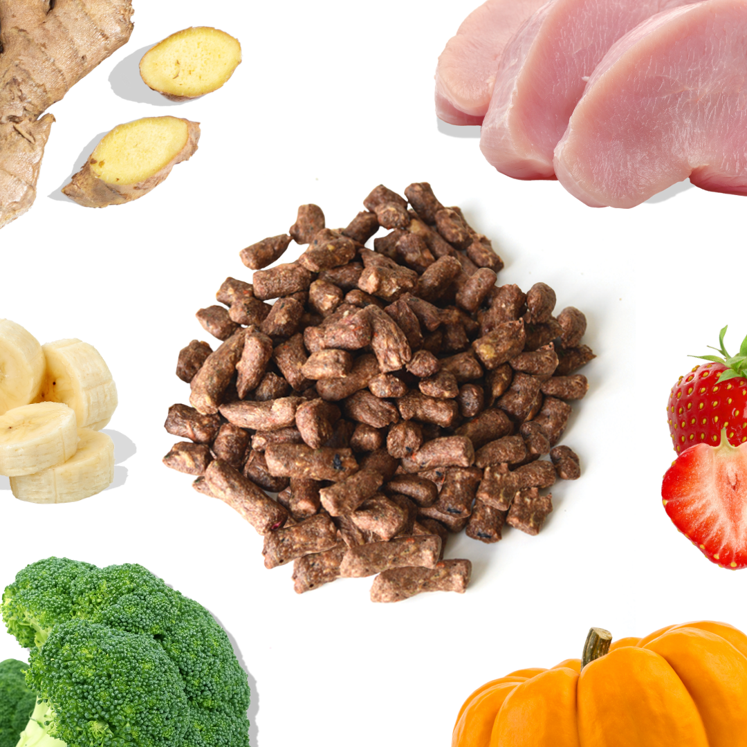 Healthybud Turkey Meal Bites