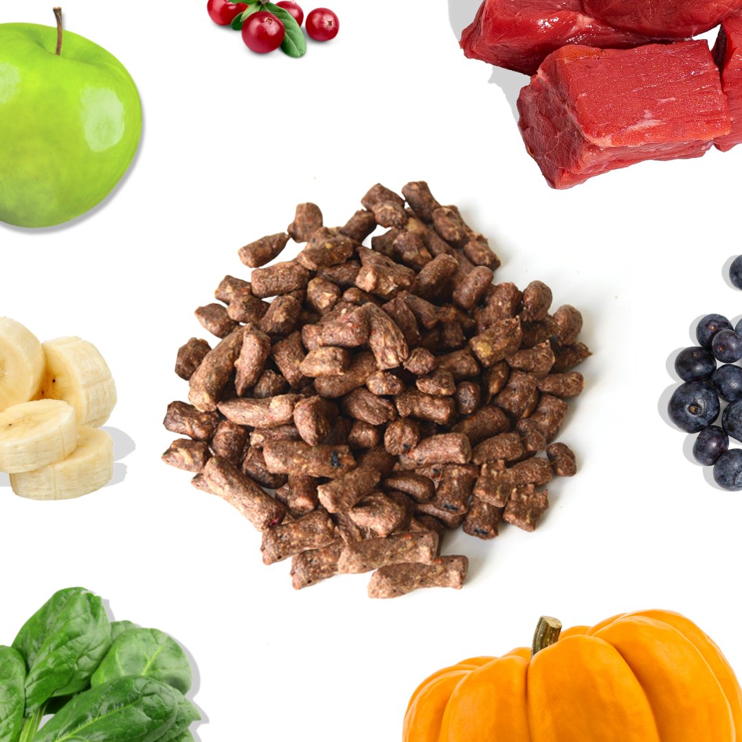 Healthybud Beef Meal Bites