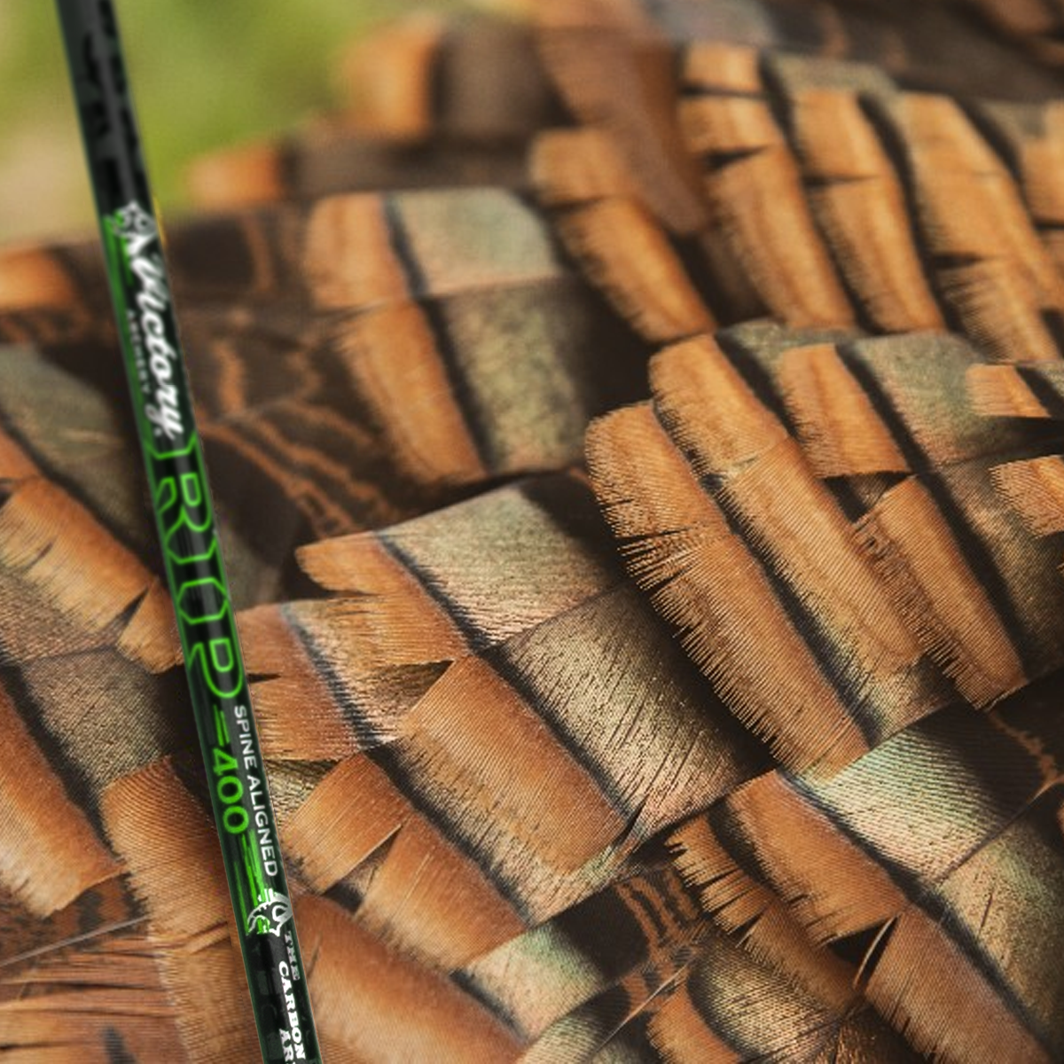 Victory Archery RIP .204 Fletched Hunting Arrows – 6 Pack - Image 2