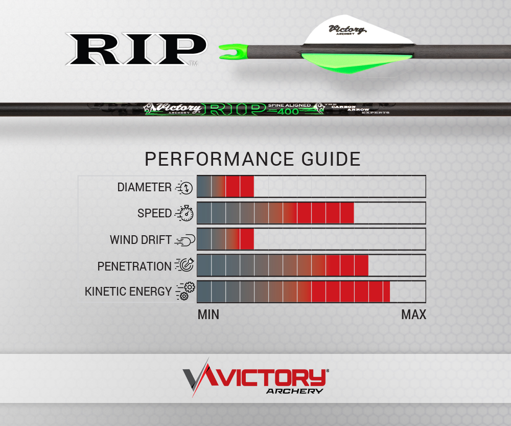 Victory Archery RIP .204 Fletched Hunting Arrows – 6 Pack - Image 5