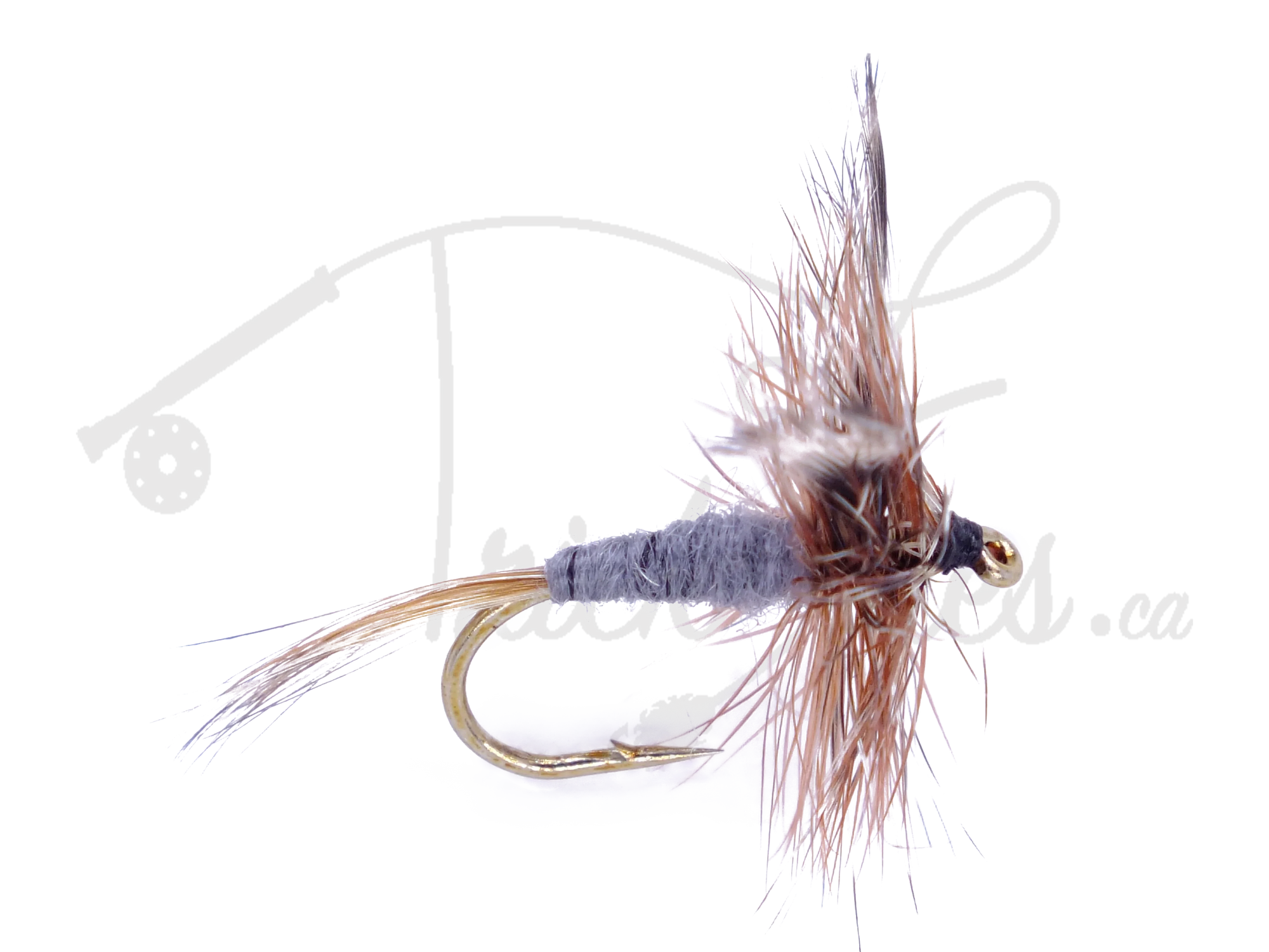 Adams dry fly fishing lure with brown hackle and gray body on a gold hook