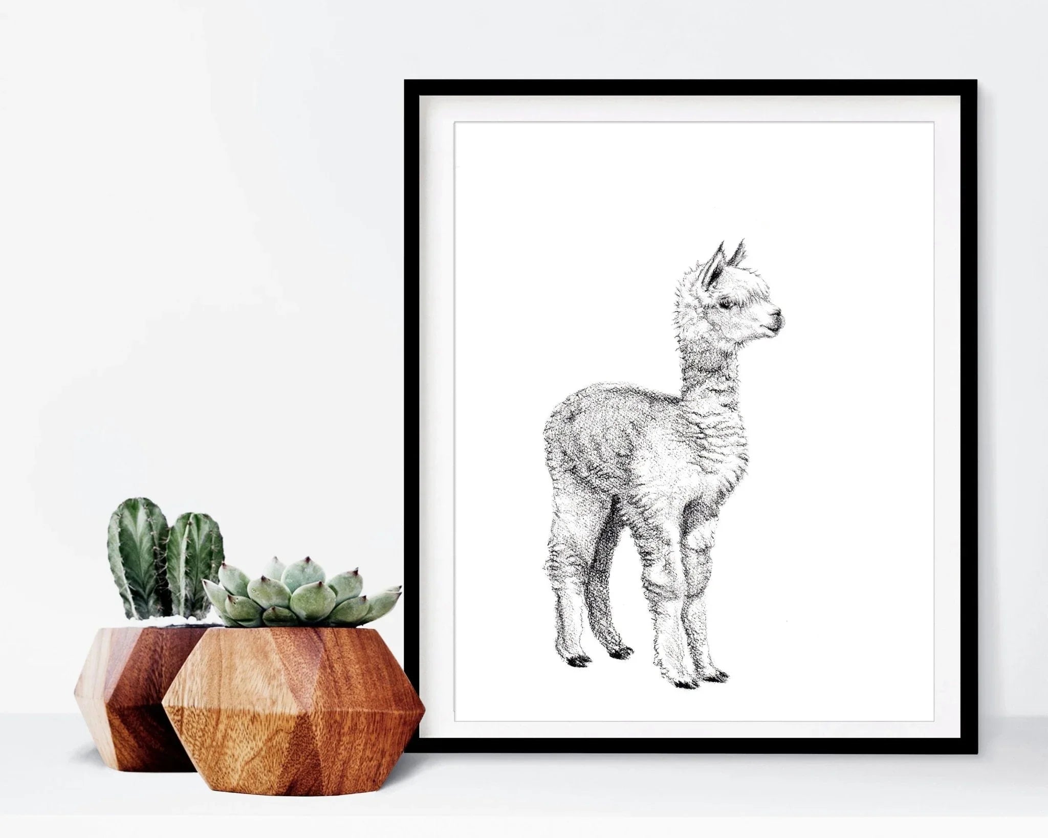 Framed alpaca art print beside geometric wood planters with succulents on a white shelf