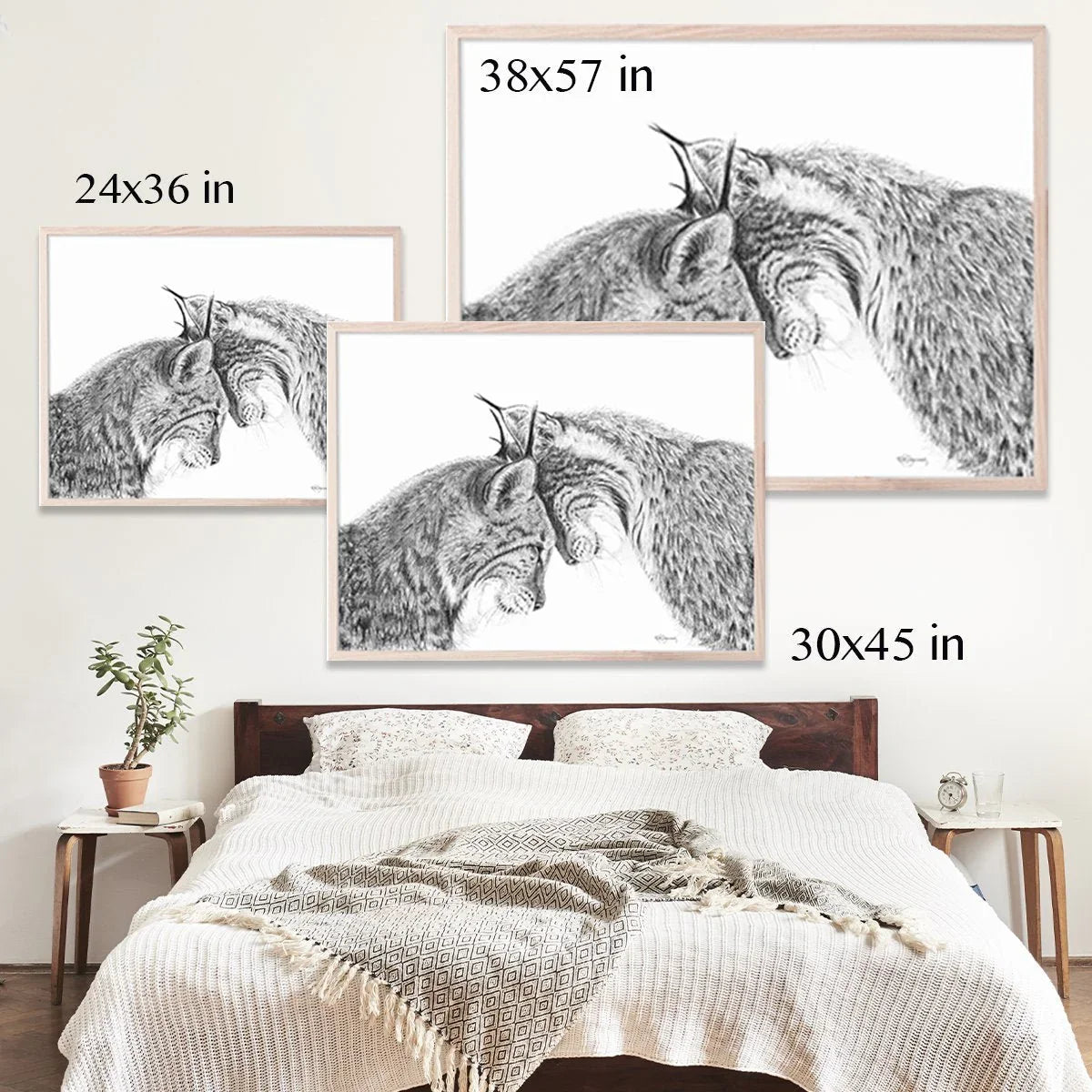 Framed lynx art prints above a bed in a modern bedroom, shown in three sizes.