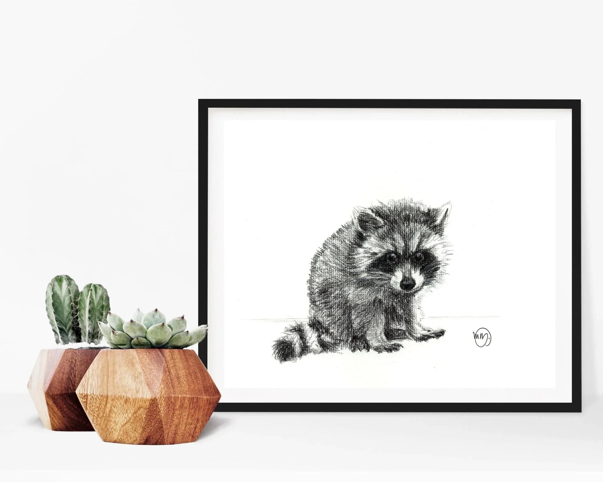 Framed baby raccoon sketch art beside geometric wood planters with small succulents