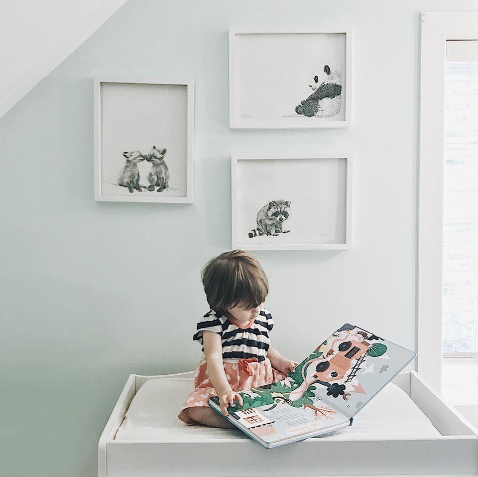 Adorable baby raccoon sitting on white surface, facing forward, with soft fur and bright eyes.