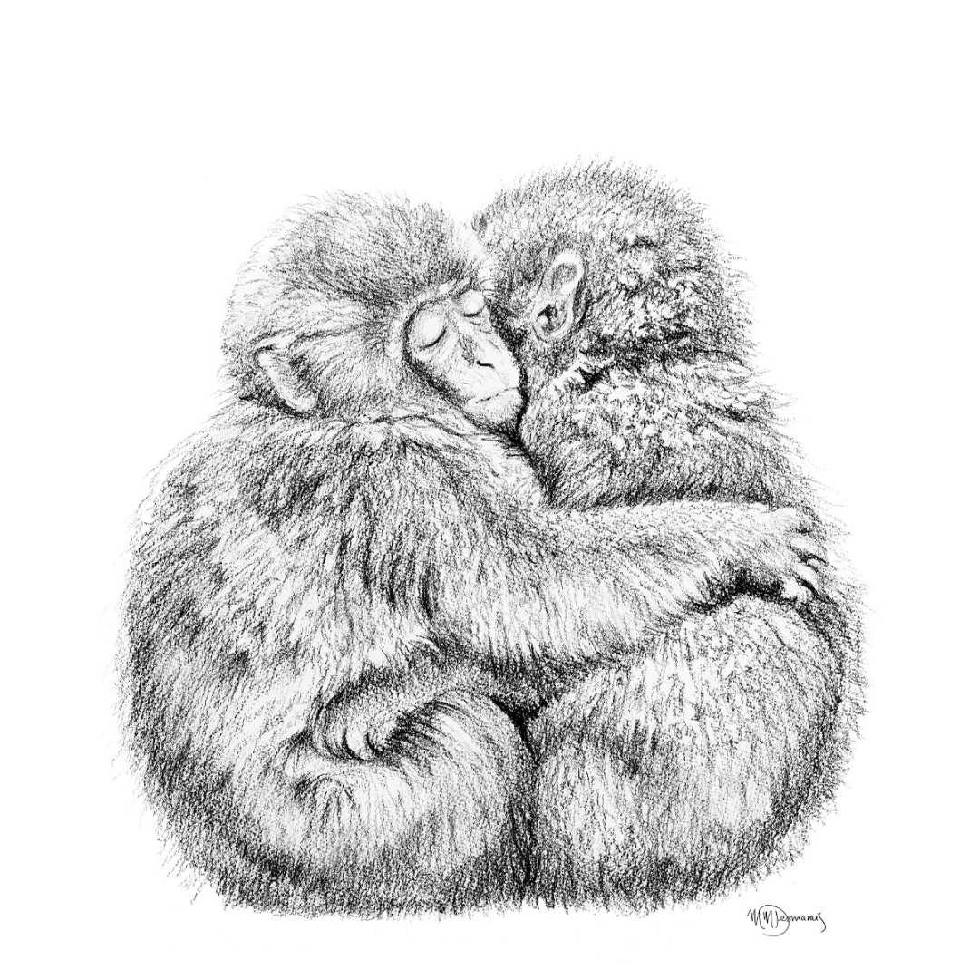 Sketch of two adorable monkeys hugging each other, detailed fur, white background