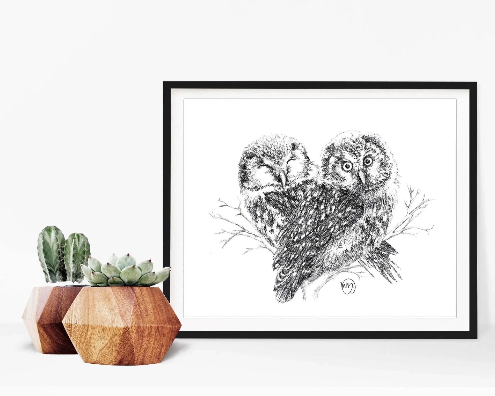 Framed black and white owl illustration with two owls on a branch, next to succulents