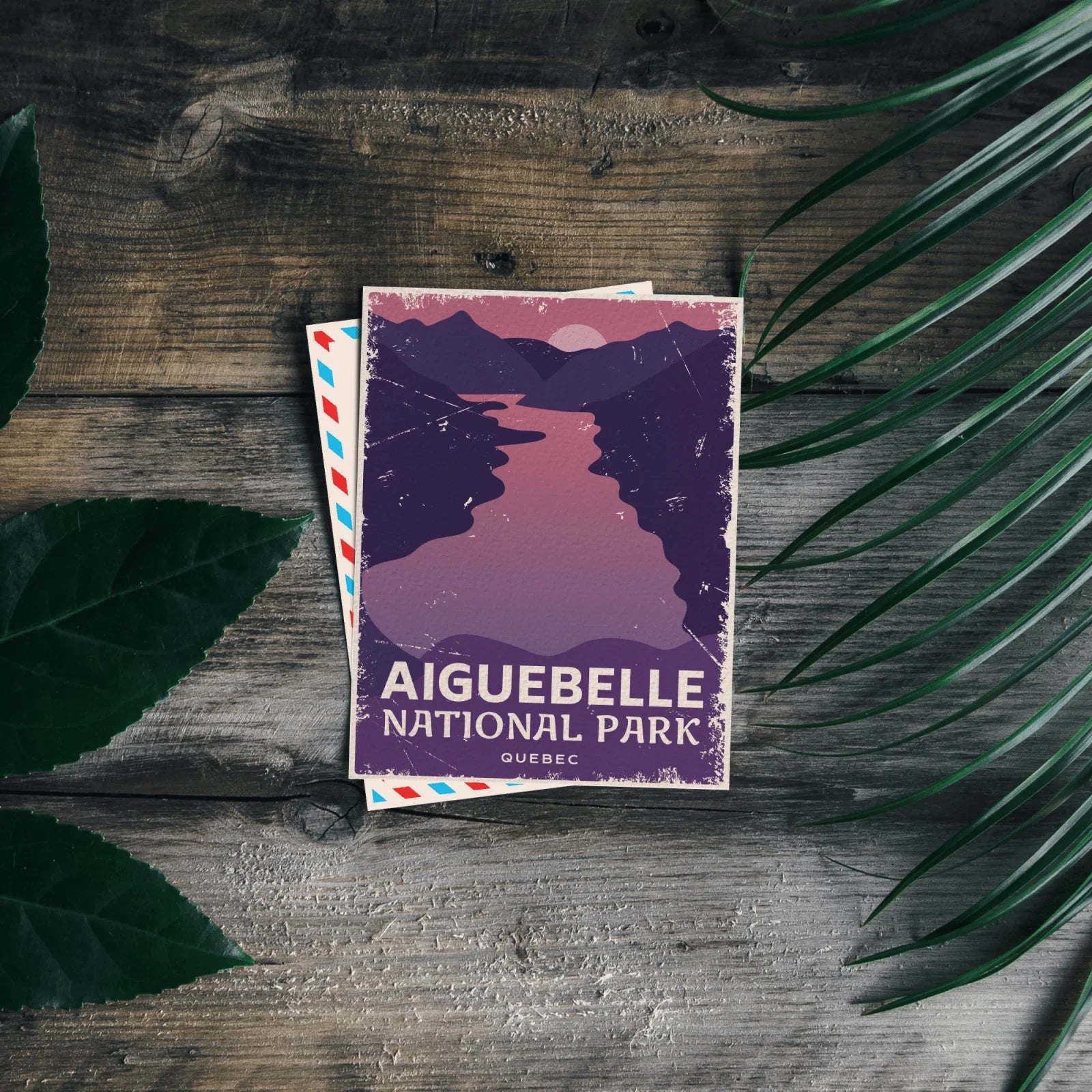 Aiguebelle National Park Quebec postcard on rustic wood with green leaves