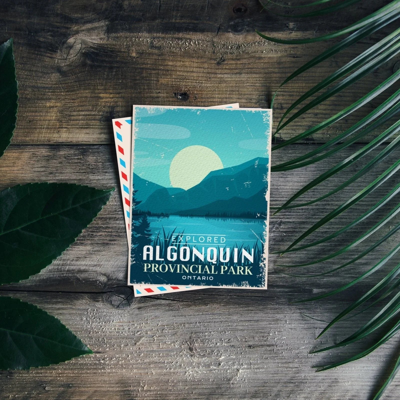 Algonquin Provincial Park Ontario postcard on rustic wood with green leaves