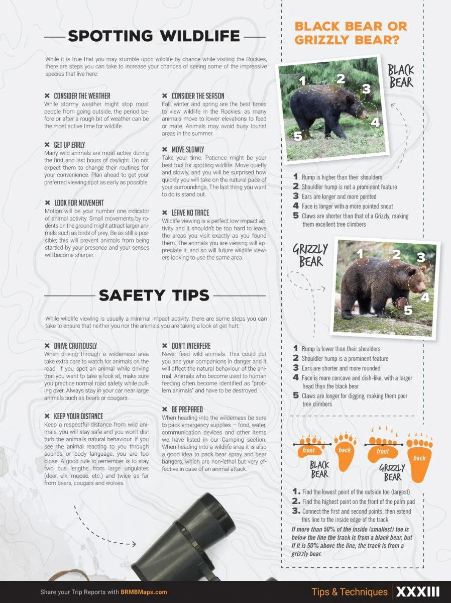 Canadian Rockies backroad mapbook page showing wildlife spotting and safety tips with bear identification photos.