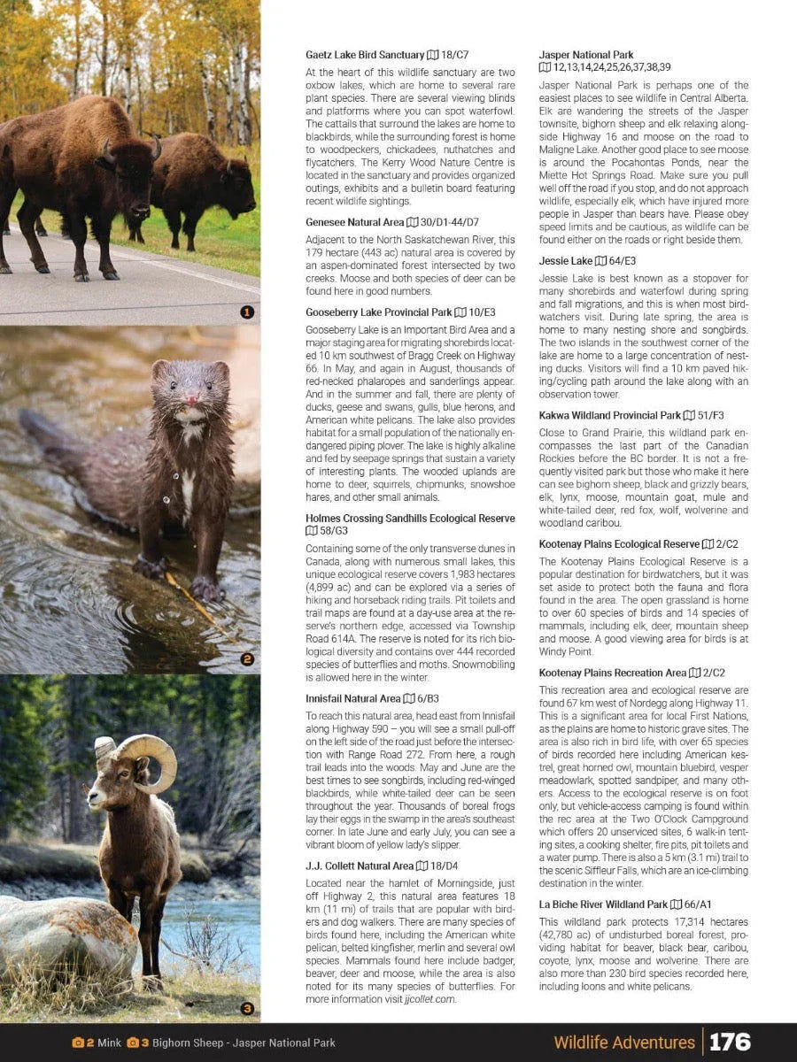 Central Alberta Backroad Mapbook page showing wildlife photos of bison, mink, and bighorn sheep with park descriptions.