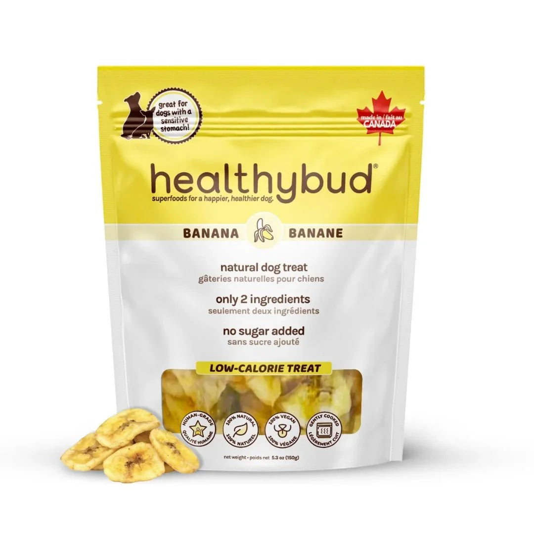 Healthybud banana dog treats pouch with dried banana chips, natural low-calorie dog snack