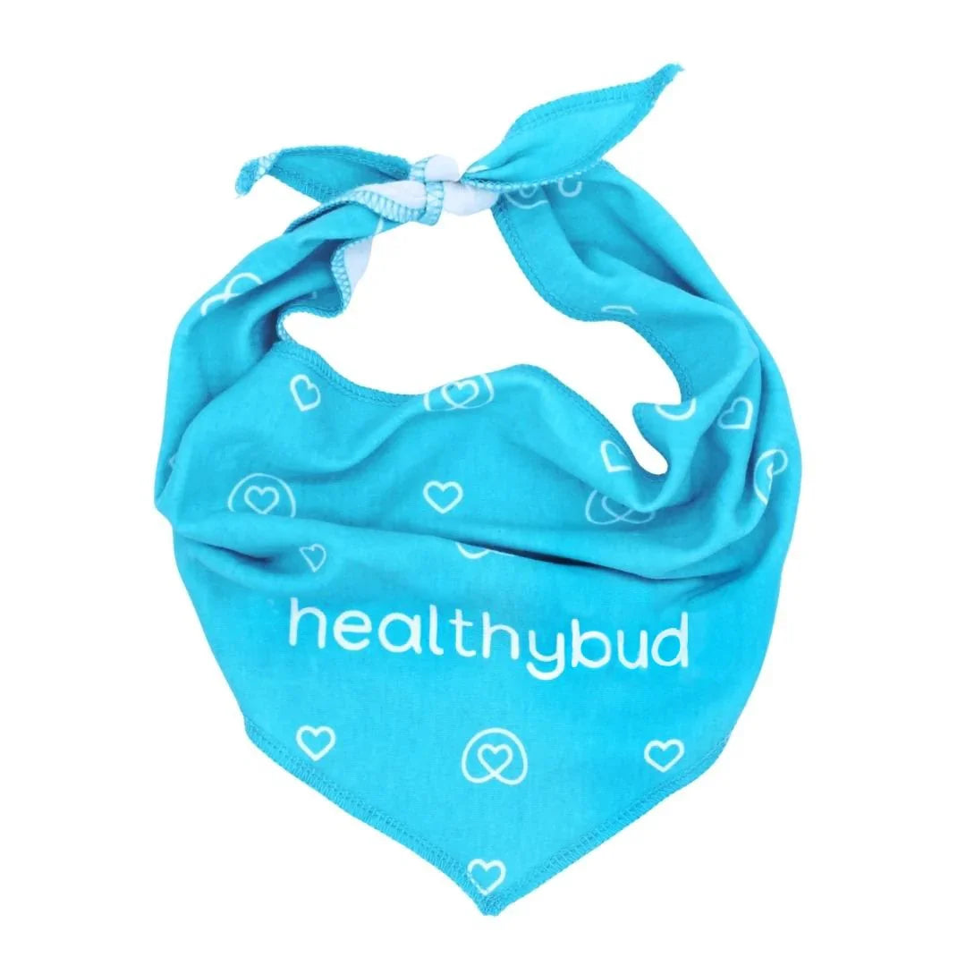Blue dog bandana with white heart patterns and 'healthybud' text, tied at the top.
