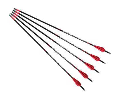 Barnett Archery Hyperflite Arrow - 5 Pack - Leapfrog Outdoor Sports and Apparel