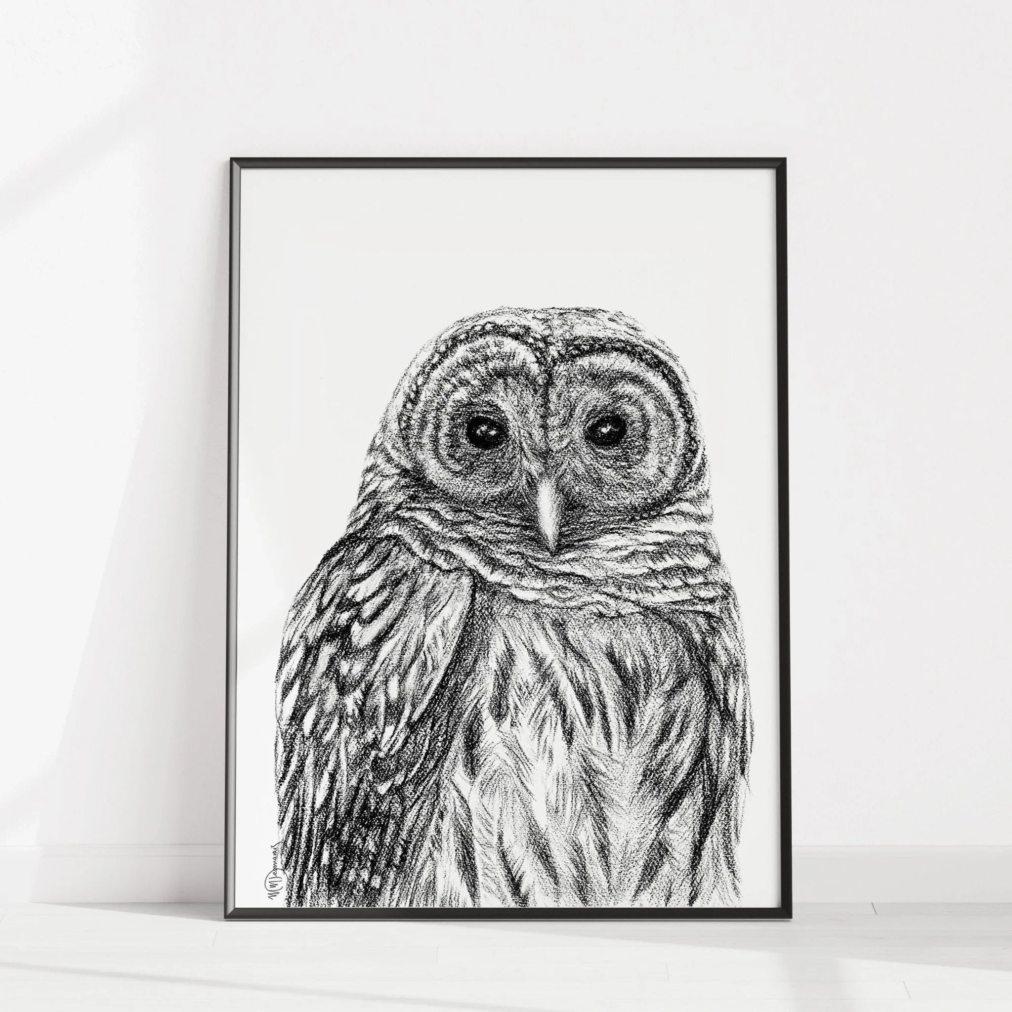 Barred owl black and white art print in modern frame against white wall
