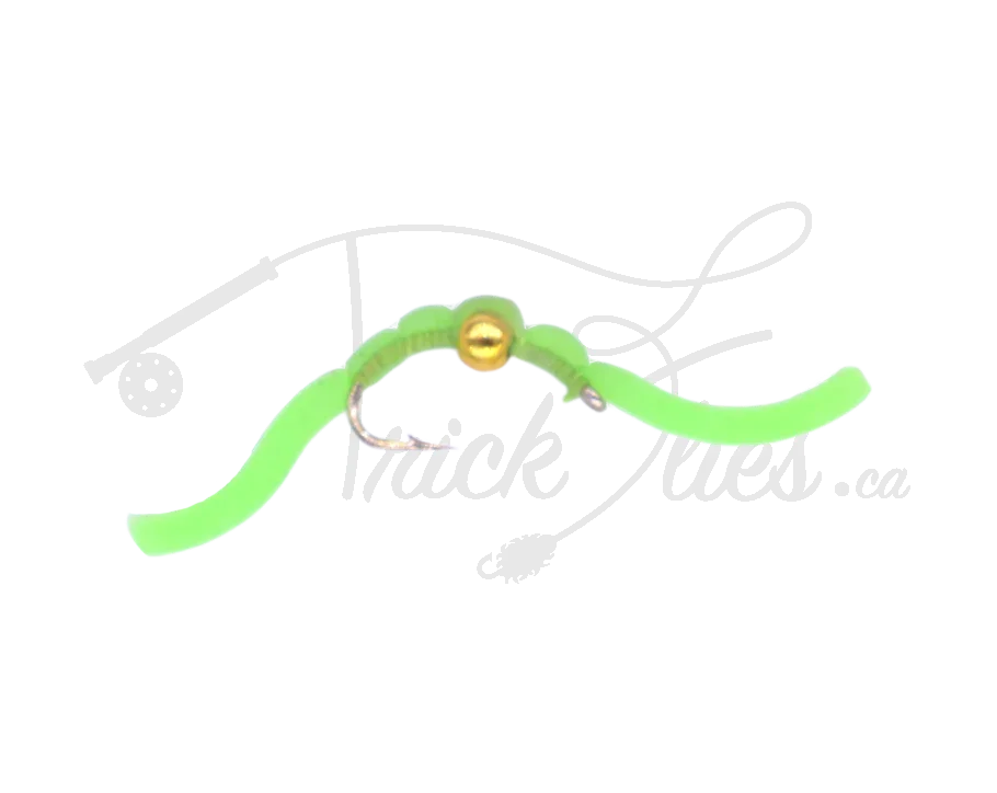 Chartreuse beadhead squirmy worm fly fishing lure with gold bead on white background