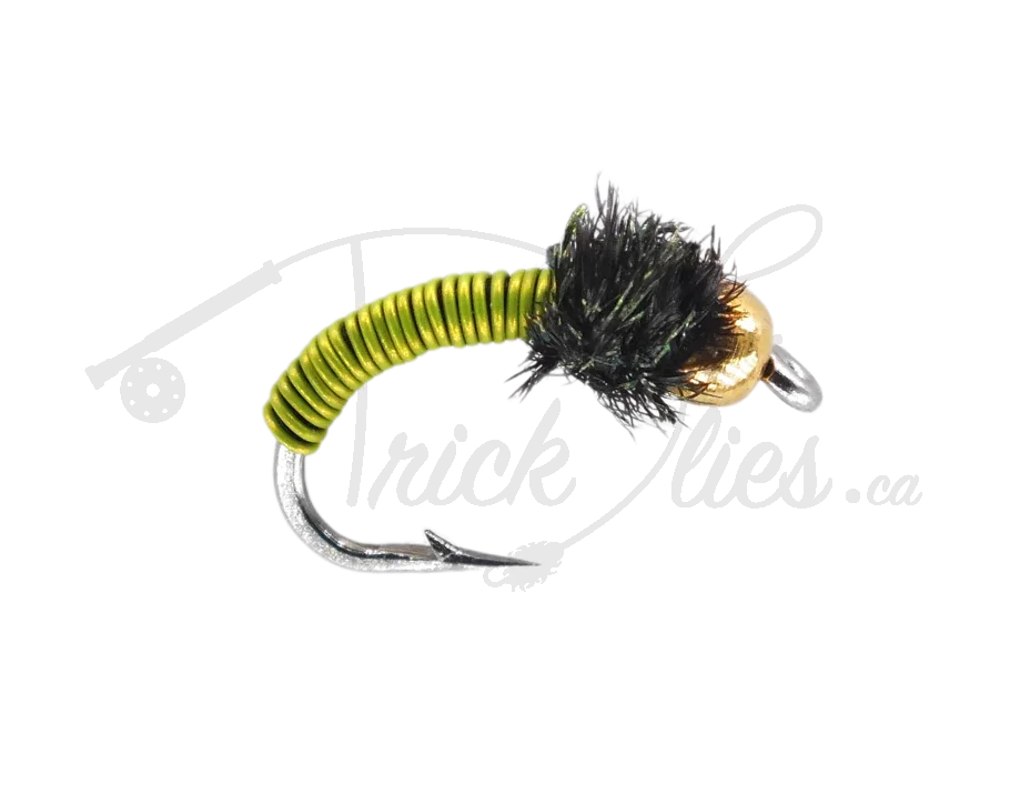 Beadhead Brassie Chartreuse fly fishing nymph with green wire body and gold bead head