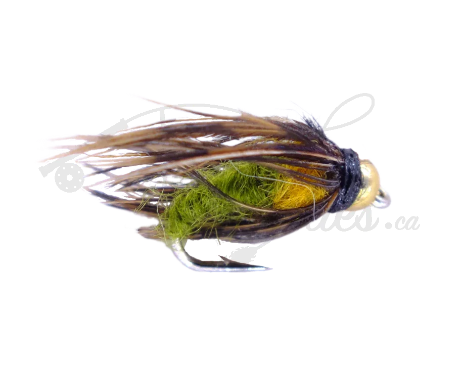 Beadhead caddis pupa fly fishing lure with green body, gold bead head, and brown hackle