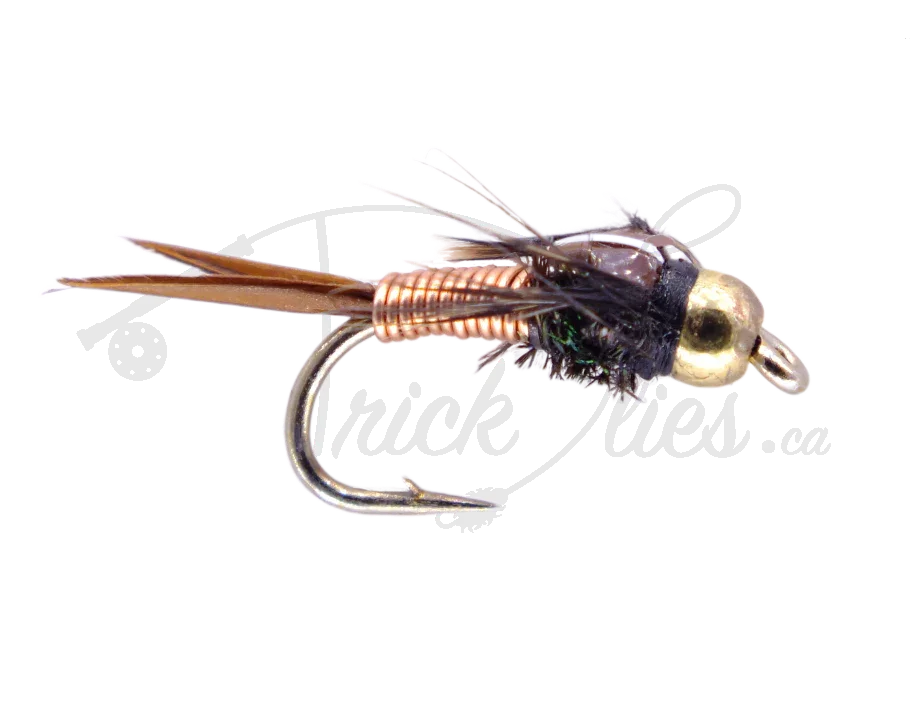 Copper John beadhead nymph fly fishing lure with gold bead and copper wire body