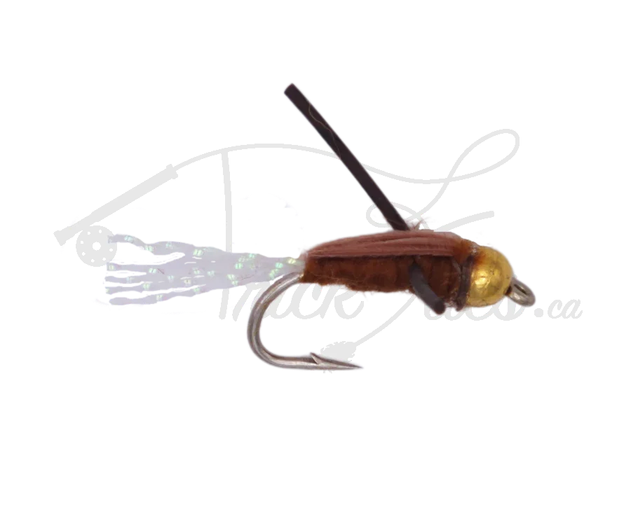 Brown beadhead water boatman fly fishing lure with gold head and iridescent tail