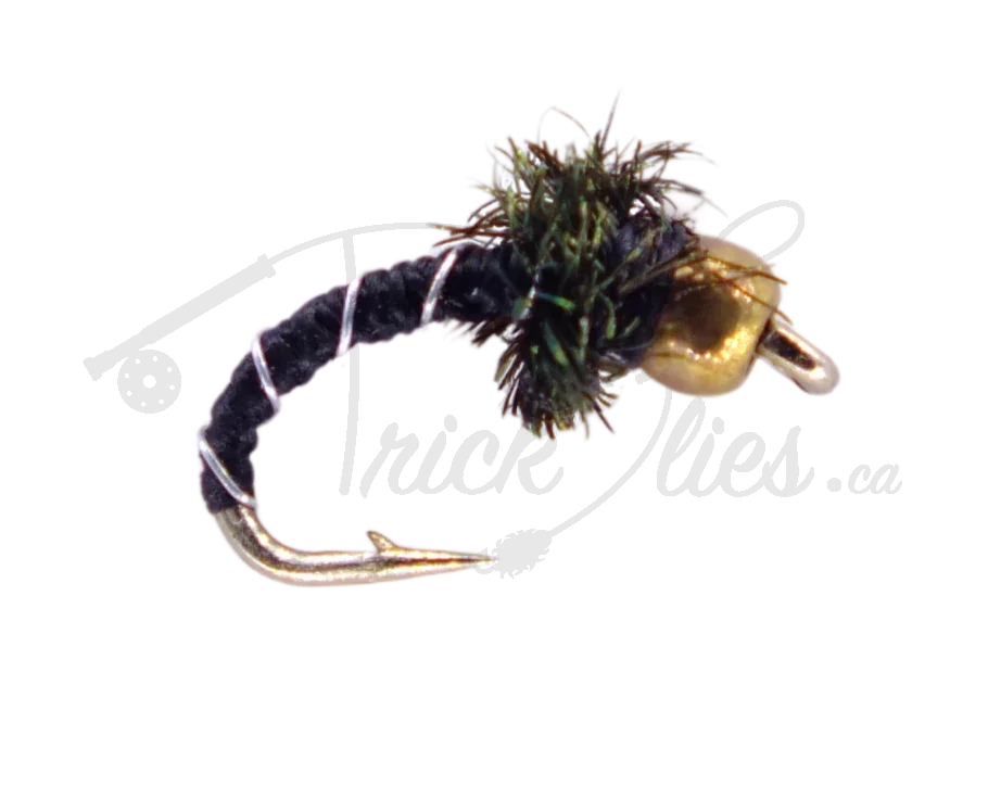 Zebra Midge fly fishing lure with gold bead head and black segmented body