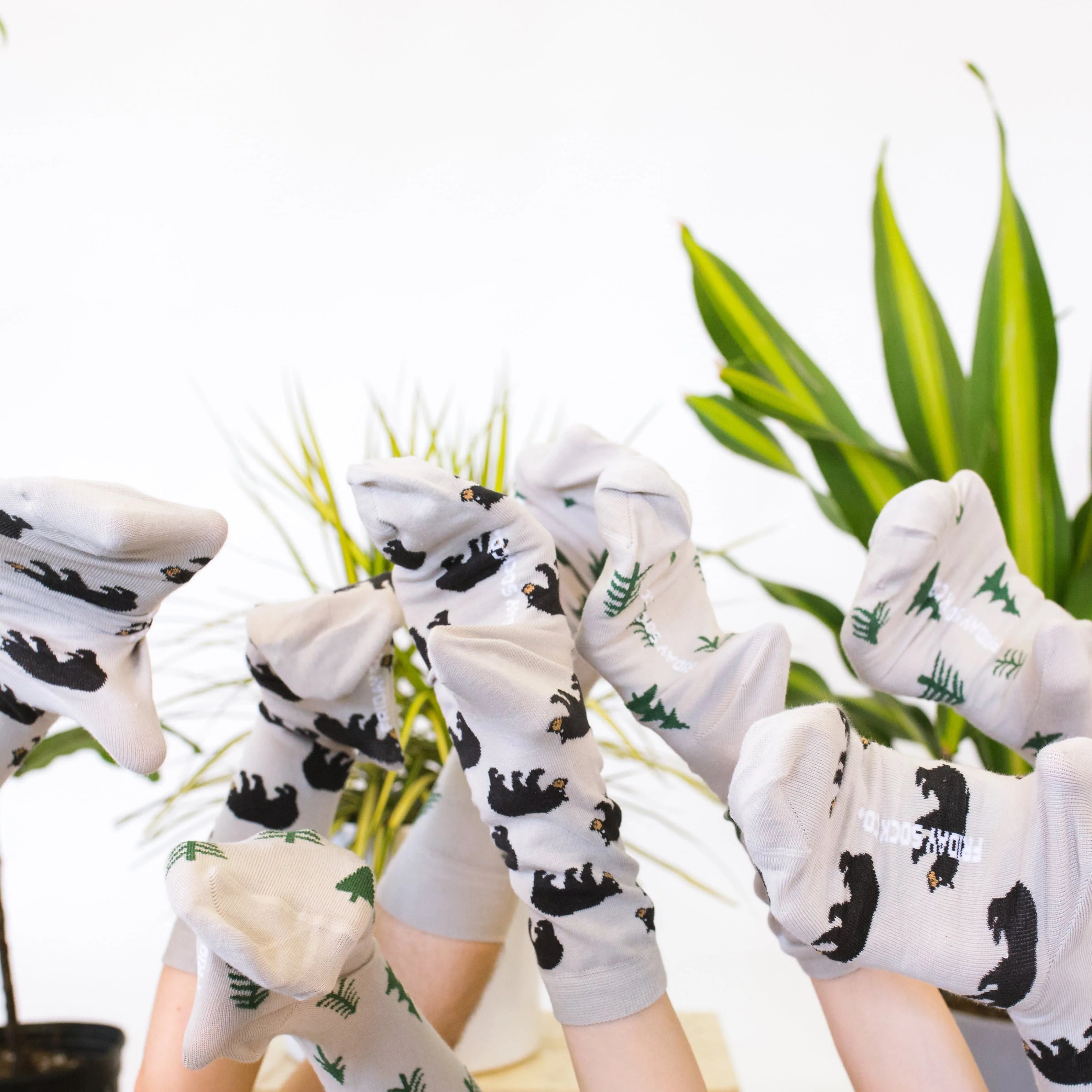 Friday Sock Co Men's Bear & Tree Socks