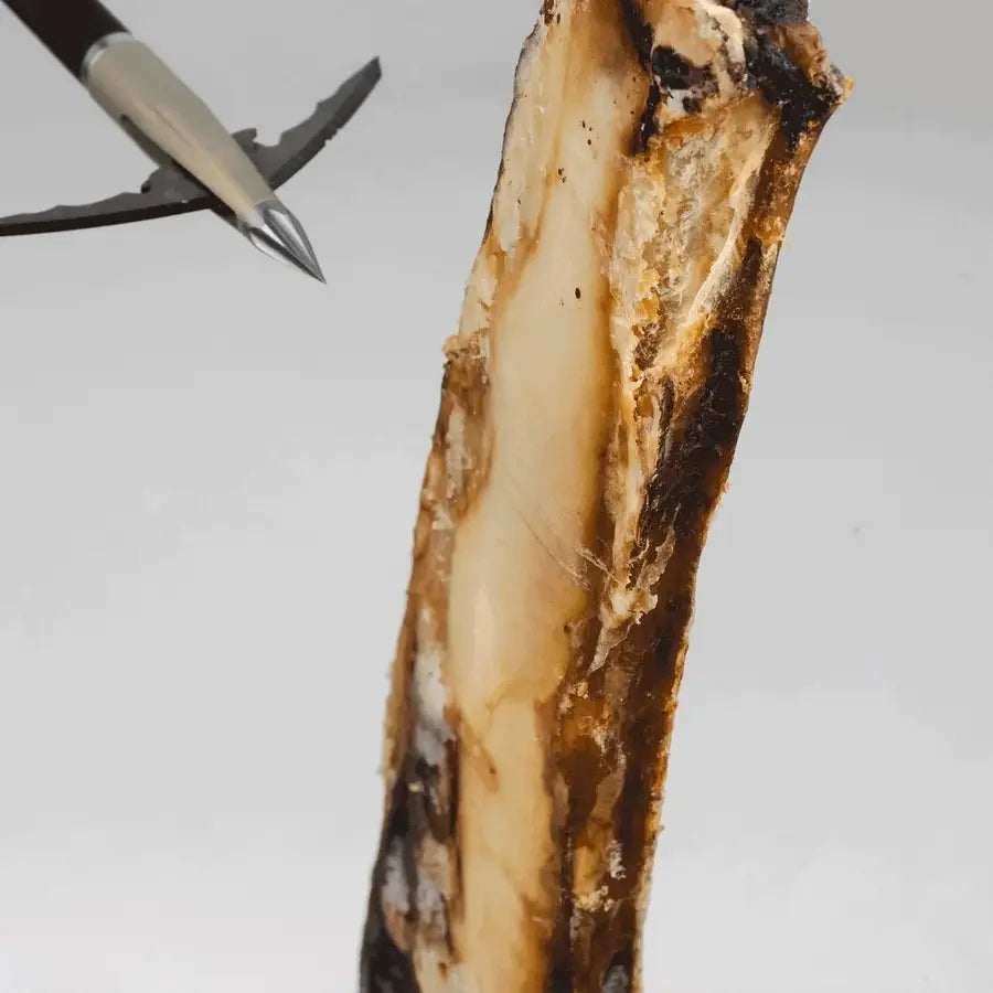 Close-up of a large dog bone treat with rough texture and a metal tool beside it