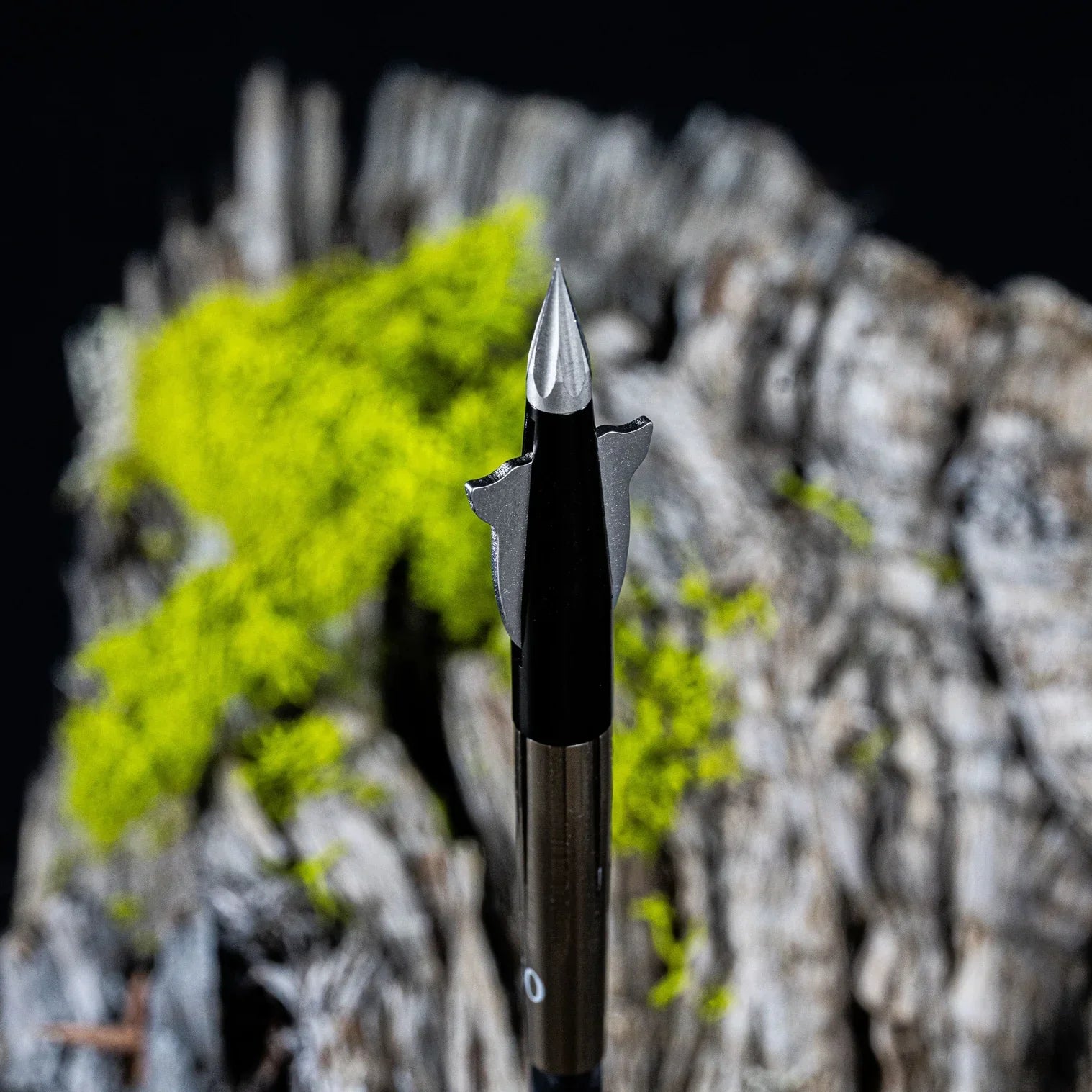 Close-up of a broadhead arrow tip with sharp blades, in front of mossy wood background