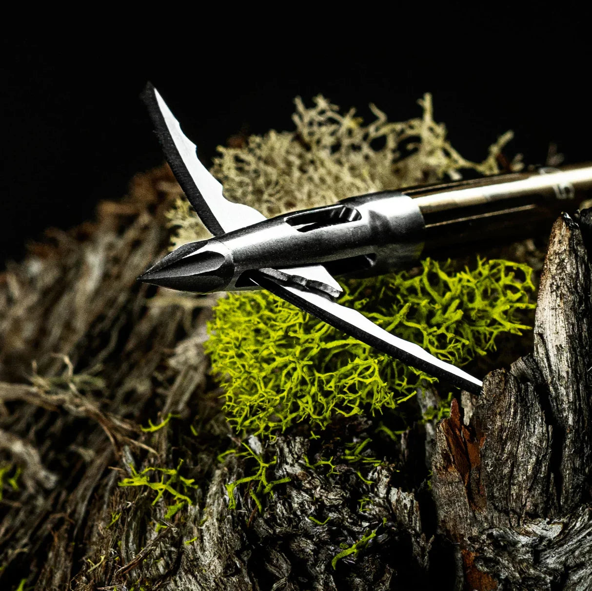 Steel broadhead hunting arrow on mossy wood with sharp blades and detailed texture