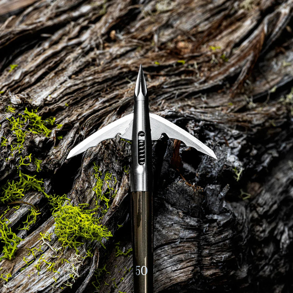 Broadhead arrow tip with mechanical blades against tree bark and green moss.