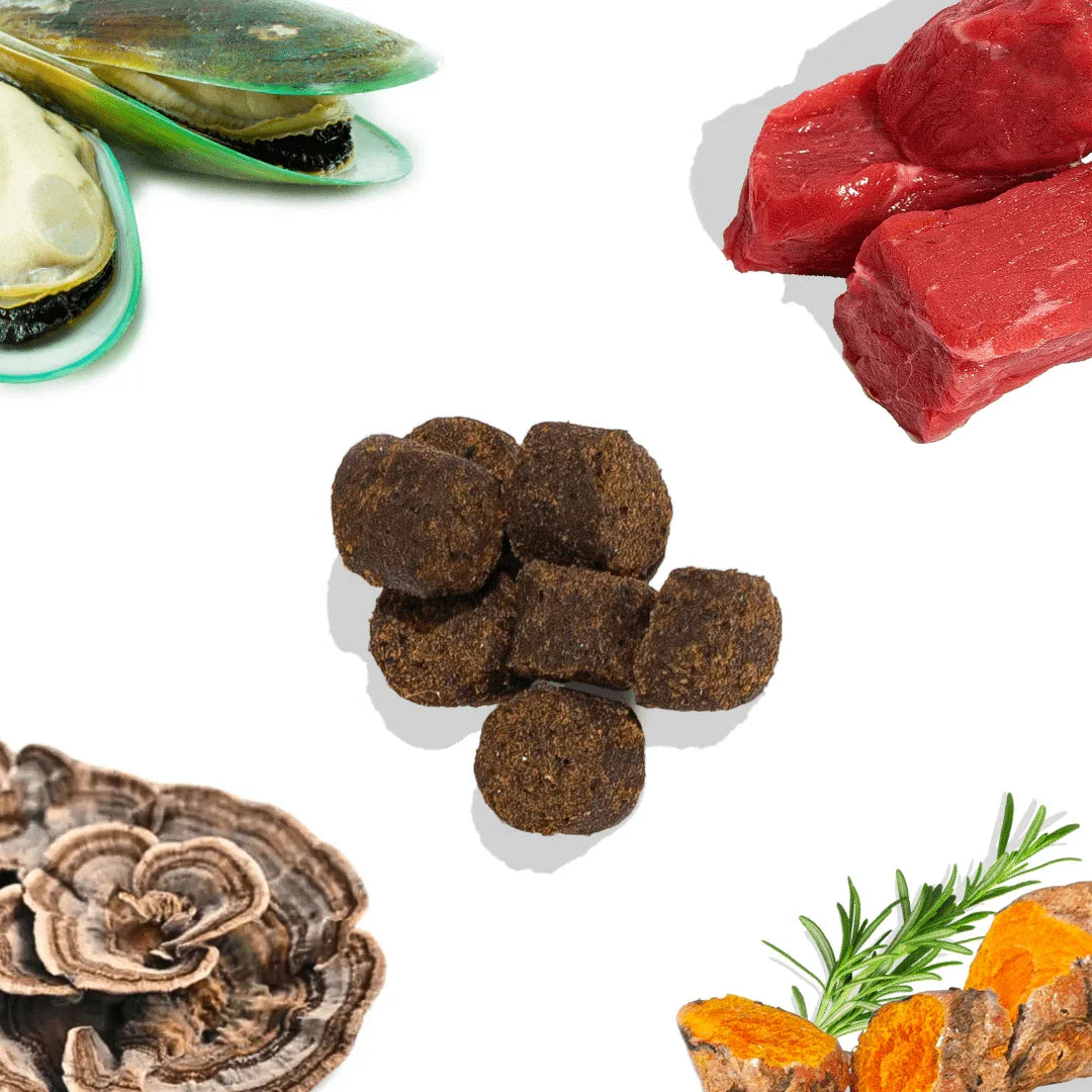 Beef joint booster dog treats with beef chunks, green-lipped mussel, mushrooms, herbs