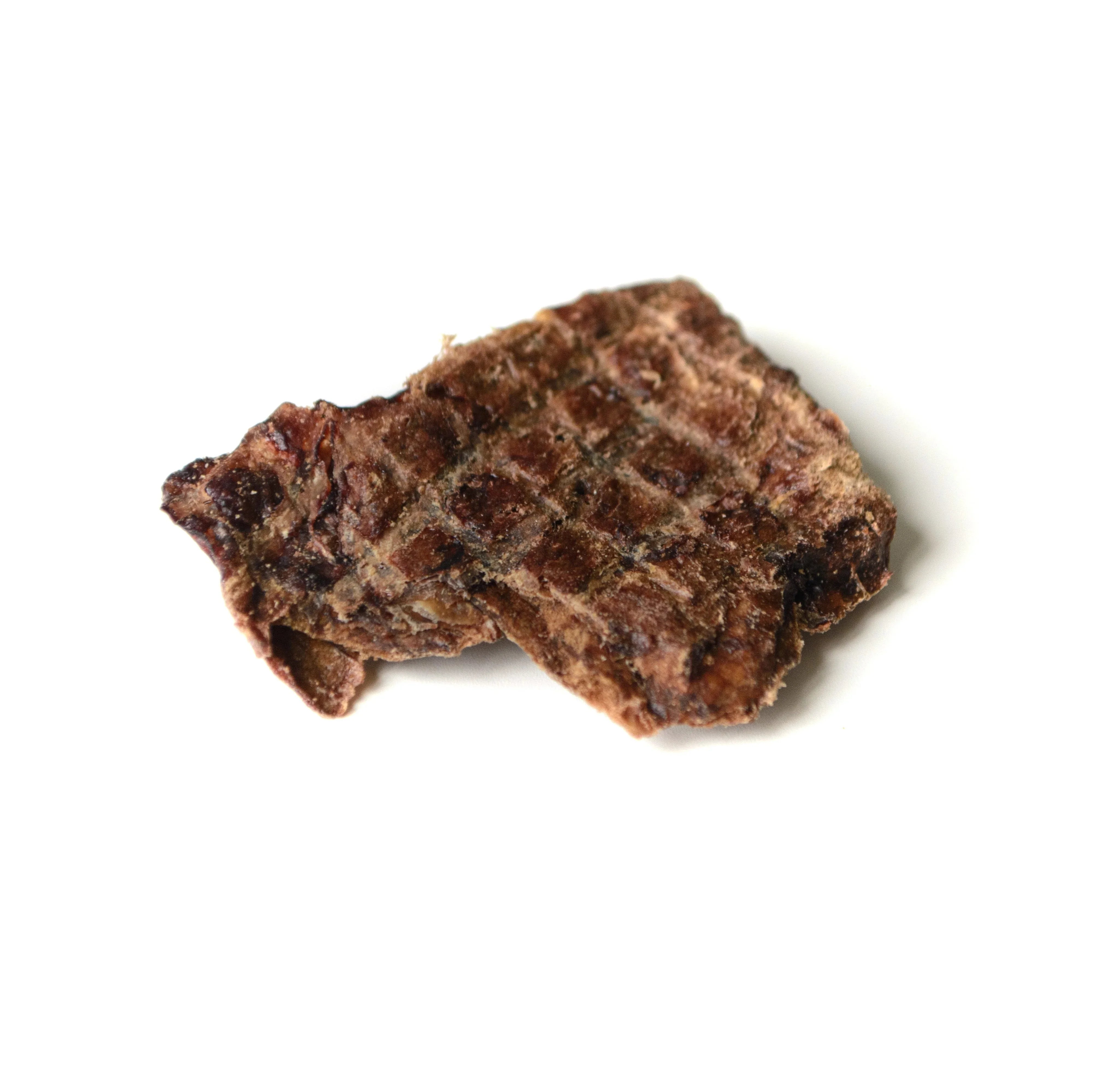 Single dried beef lung wafer dog treat on white background
