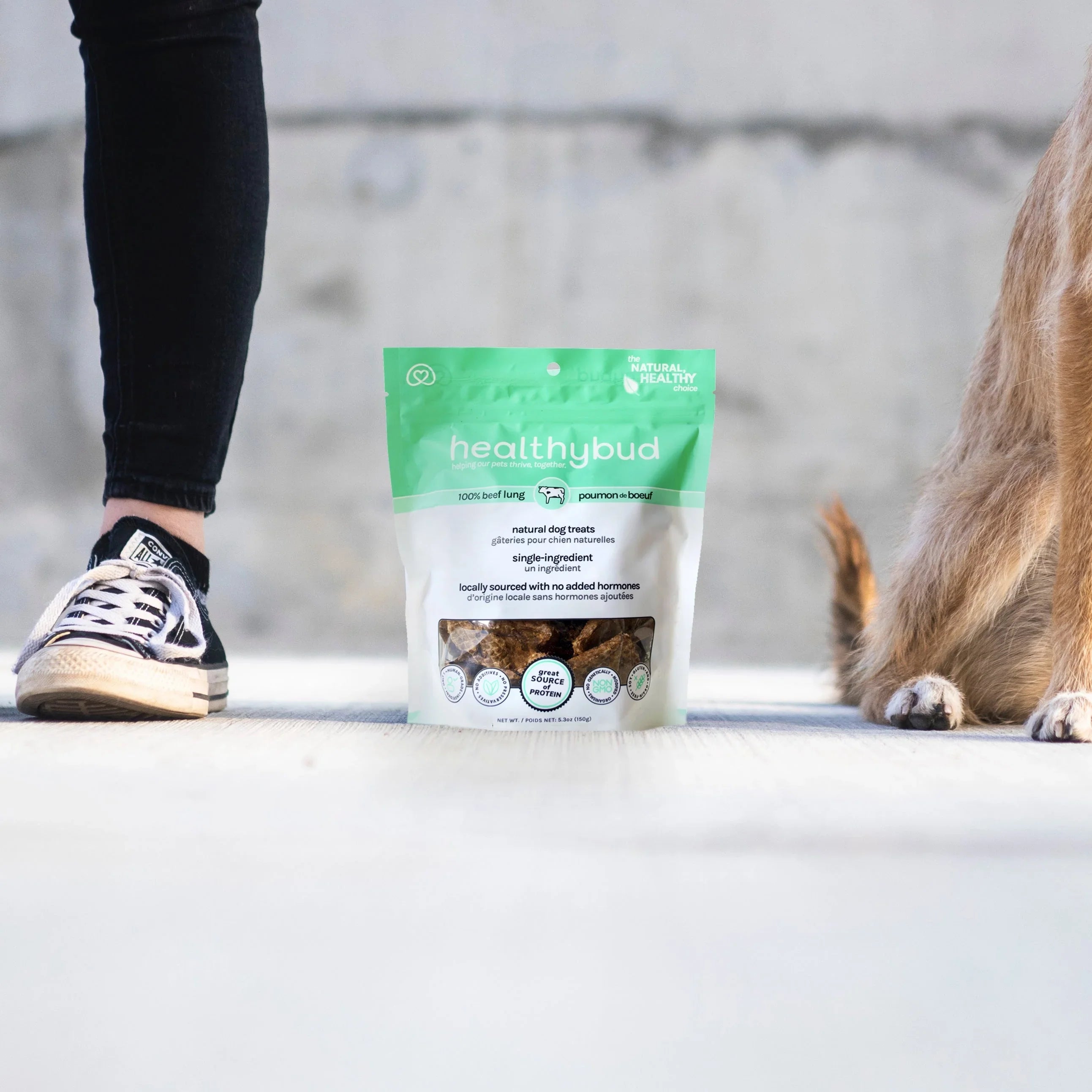 Healthybud beef lung natural dog treats pouch outdoors between dog's paw and human sneaker