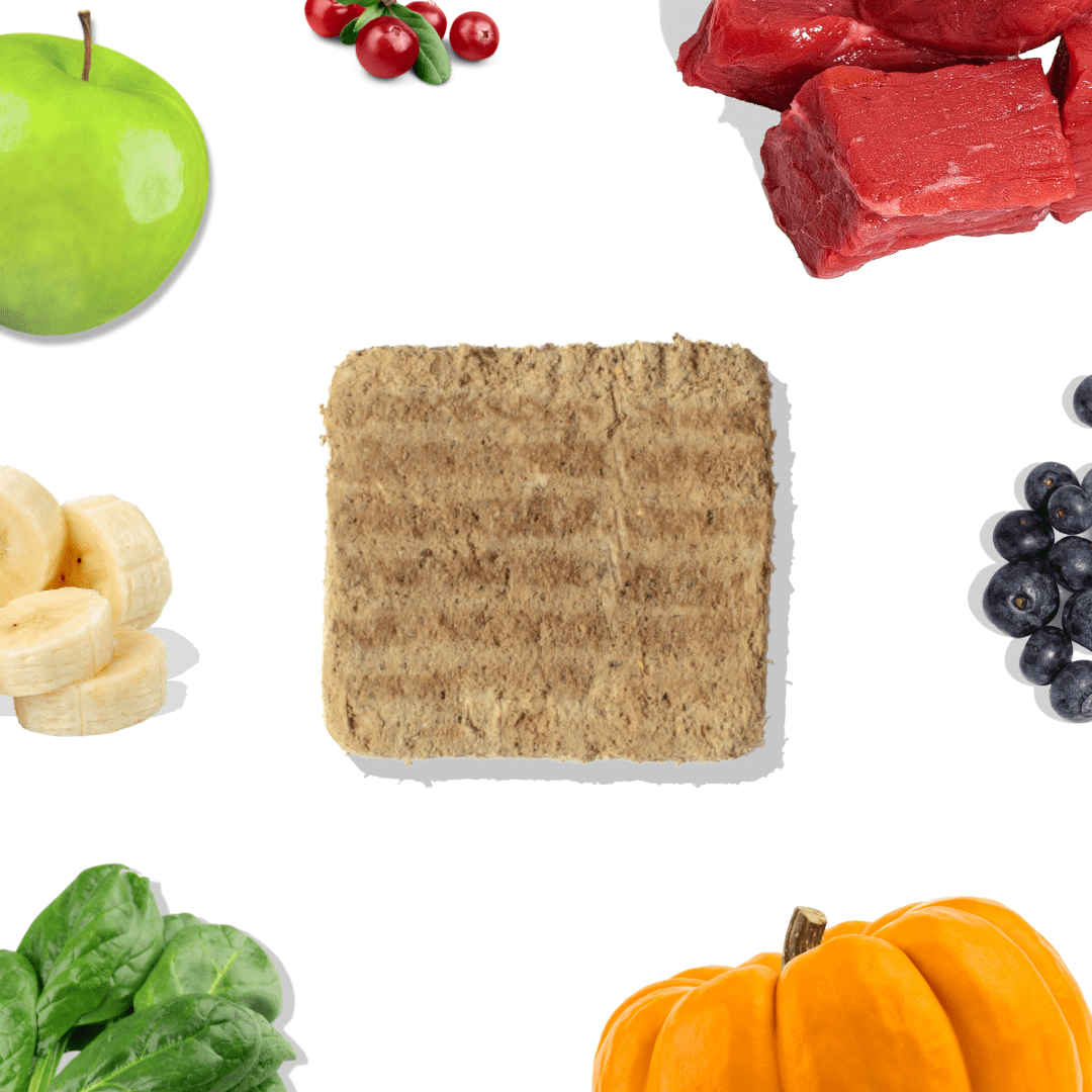 Healthybud Beef Meal Patties