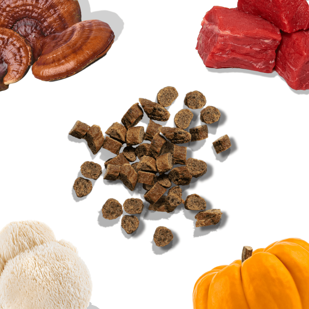 Healthybud Beef Mini Training Treats