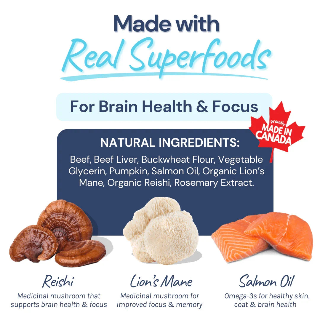 Beef mini training treats with real superfoods, reishi, lion’s mane, and salmon oil, made in Canada.