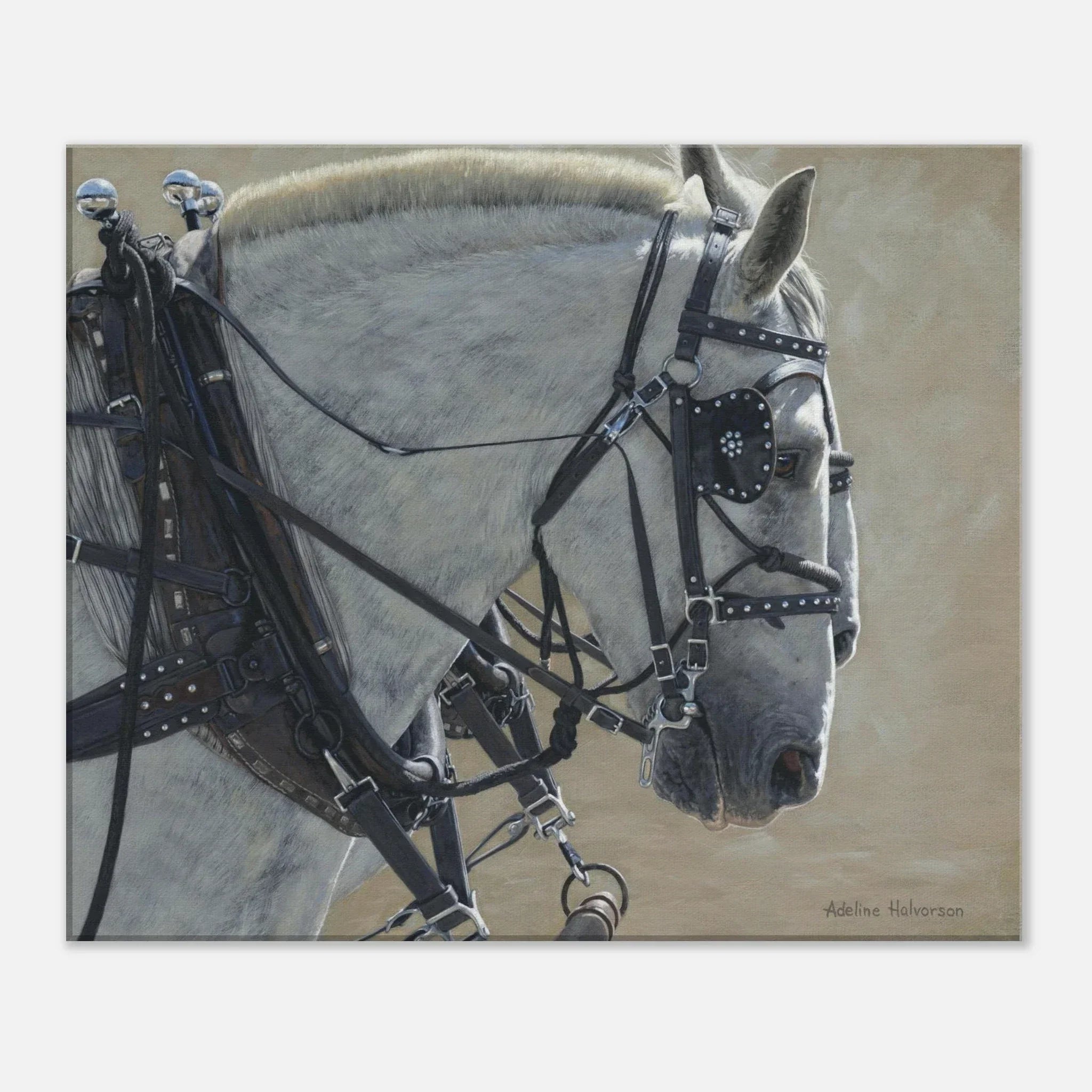 Adeline Halvorson Artworks STEADY Canvas Print