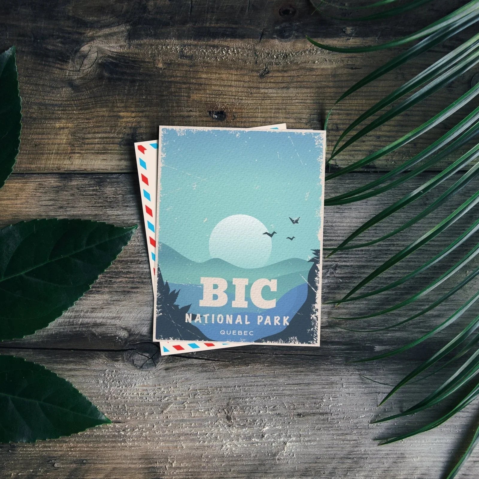 Bic National Park Quebec postcard with nature illustration on rustic wood table and green leaves