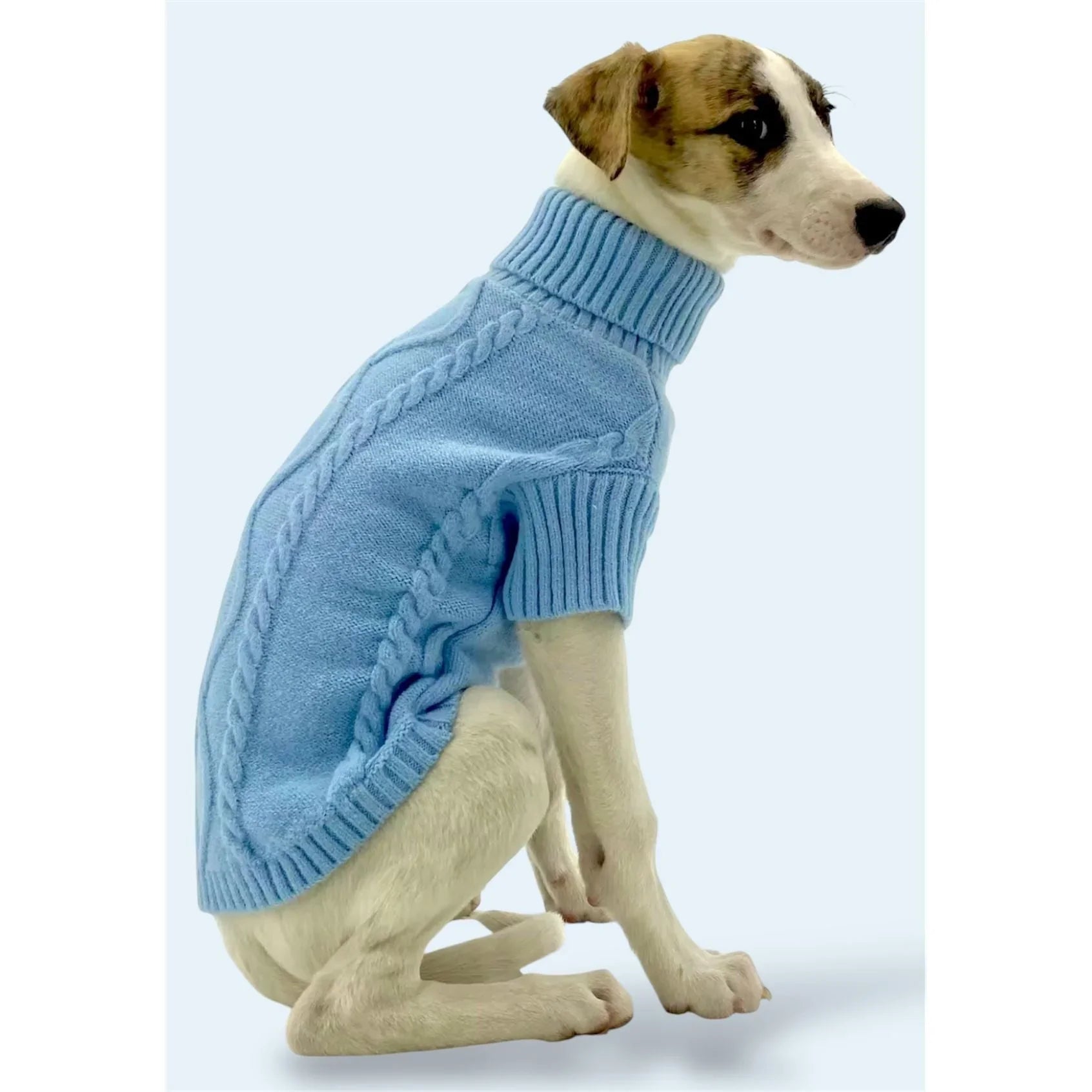 Dog wearing light blue cable knit turtleneck sweater on light background