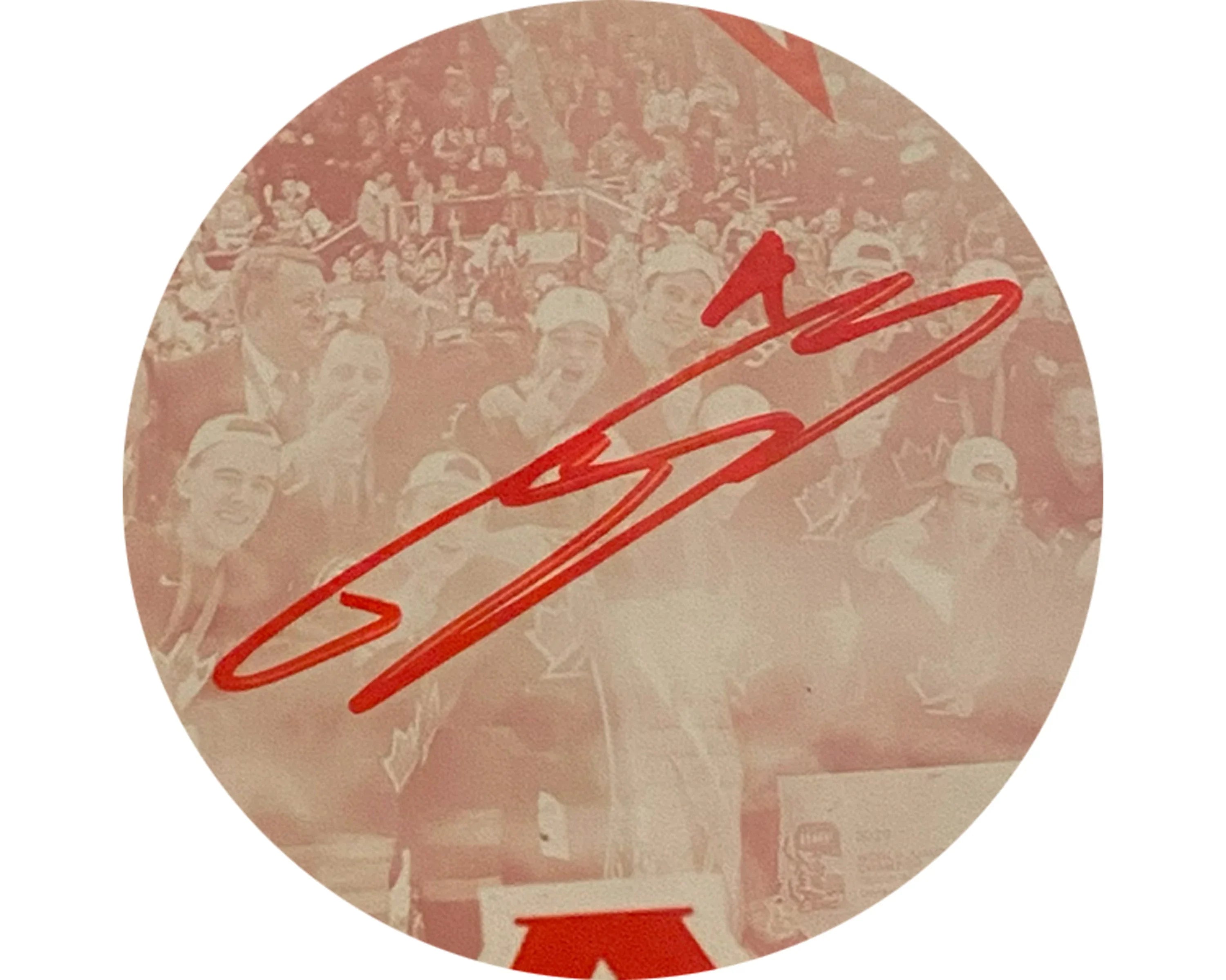 Hockey team group photo with red autograph overlaid, fans in background, sports memorabilia