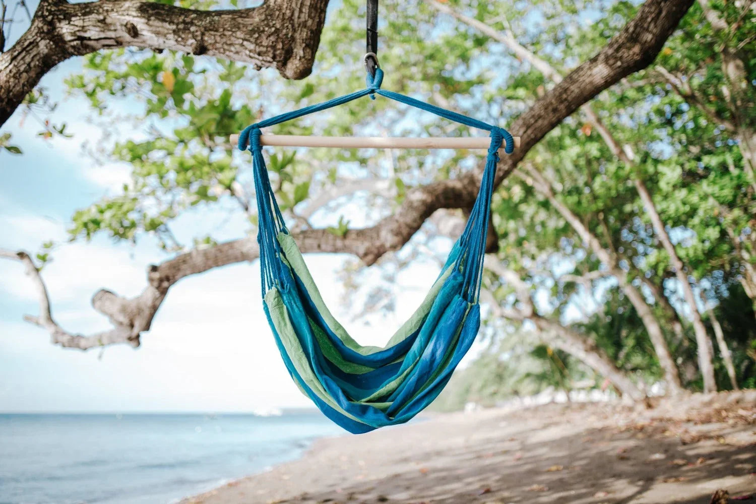 Blue and green hammock chair hanging from a tree on a tropical sandy beach