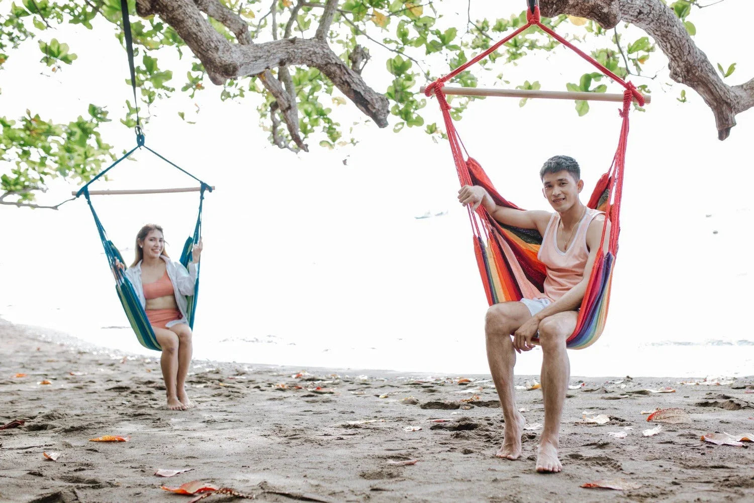 Two people relaxing in colorful hammock chairs on a sandy beach under leafy trees