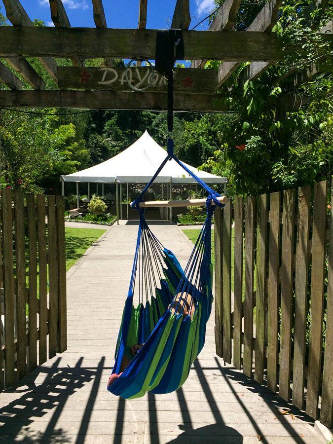 Blue and green Brazilian hammock chair hanging outdoors in a sunny garden setting