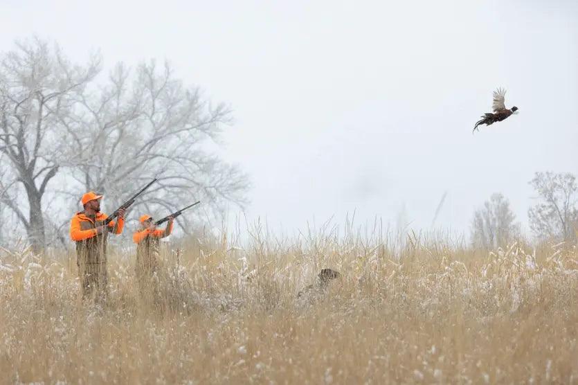 Two hunters in orange jackets aiming guns at a flying pheasant in a snowy field.