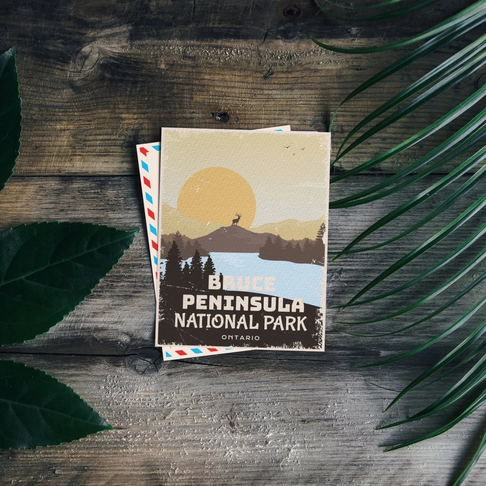 Bruce Peninsula National Park postcard on rustic wood with green leaves, Ontario Canada